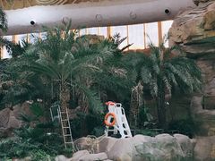 -杭州开元森泊度假乐园