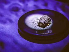 -良设夜宴 LIANGSHE