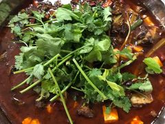 醉牛肉-无味饭店(九眼桥商业文化广场店)