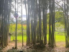 -中国科学院西双版纳热带植物园