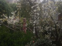 -楠柏弯休闲山庄(梨花溪店)