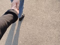 -自然谷恐龙园