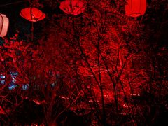 -南汇桃花村