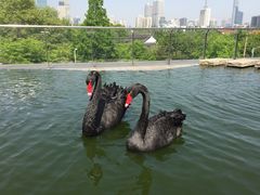 -南京圣和府邸豪华精选酒店