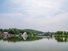 -大塘金香草谷