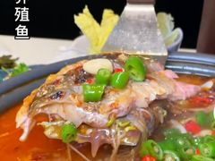 -韩国商品交易中心