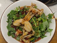-老表牌·蛙蛙鸡冷锅鱼(成都东站店)