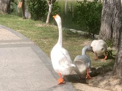 -上海交通大学(闵行校区)