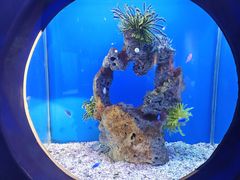-海合安武汉极地海洋公园
