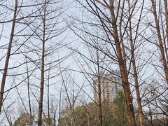 -渭滨公园