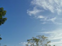 -迪士尼小镇