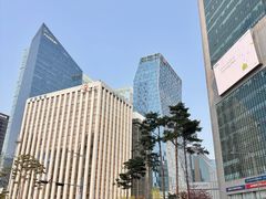 -乐天免税店(明洞店)
