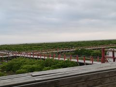 -北海金海湾红树林生态旅游区