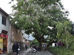 -迎懿餐厅