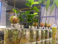 -Mr.Fruits水果先生(蓝色港湾店)