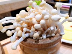 -吃城都·鱼蛙火锅(西玉龙街店)