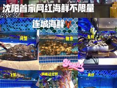 -乔哥铭洋海鲜自助(皇城恒隆广场店)
