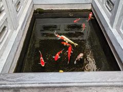 -鲤院·新中式美学·庭院餐厅(夫子庙店)