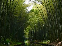 -同里国家湿地公园