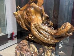 -烟台自然博物馆
