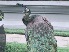 -吐斯廉屠杀博物馆