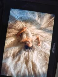 -爱城婚纱摄影·品质严选店