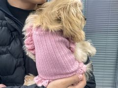 -心仪动物医院·牙专科·肿瘤·心脏科(西客站院)