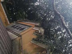 -普陀山慧济禅寺