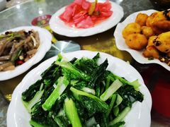 -谭家菜农夫山庄