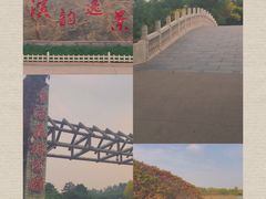 -塘沽森林公园