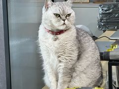 -Oasis绿洲银饰珍珠手作diy(壹方城店)