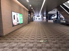 -上海浦东国际机场-T2航站楼
