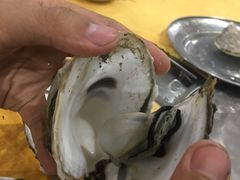 -蚝专家(北滘店)