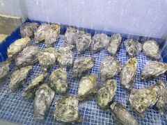 -蚝山·喷汽火山生蚝(前福路店)