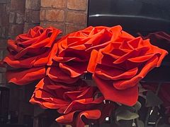 -LES ELITES 英集荟(南京西路店)