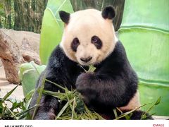 -广州长隆野生动物世界