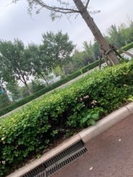 -HEYAN长风荷妍专业脱毛美肤
