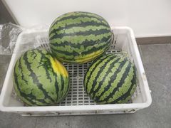 -肆季·鲜萃果粒汁