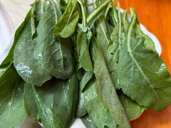 板蓝根-顺顺小吃(独克宗古城店)