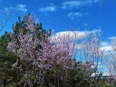 -中关村生命科学园