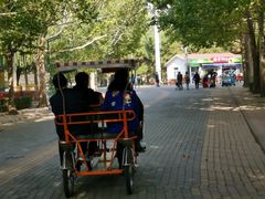 -朝阳公园游乐园