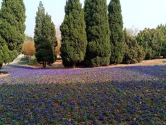 -石家庄市植物园