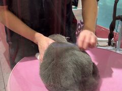 -FAELING PETS美天灵宠物(合生汇店)