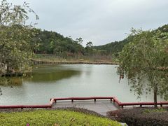 -神光山国家森林公园