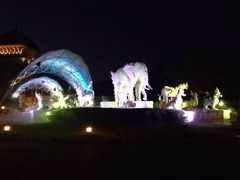iphone_upload_pic-清迈夜间动物园