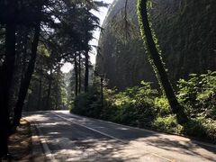 -紫金山天文台