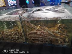 -蟹之国·精品蟹料理(极地店)