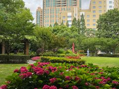 -徐家汇源景区-衡山公园