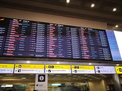 -谢列梅捷沃国际机场