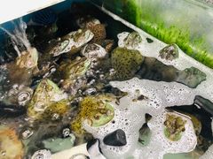 -盒马鲜生(大成店)